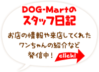 目印の看板犬フレンチブルドッグ